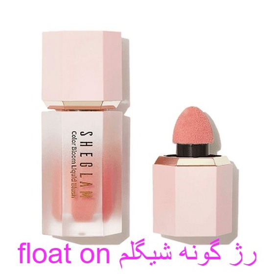 رژ گونه شیگلم پد دار رنگ  FLOAT ON ( های کپی )